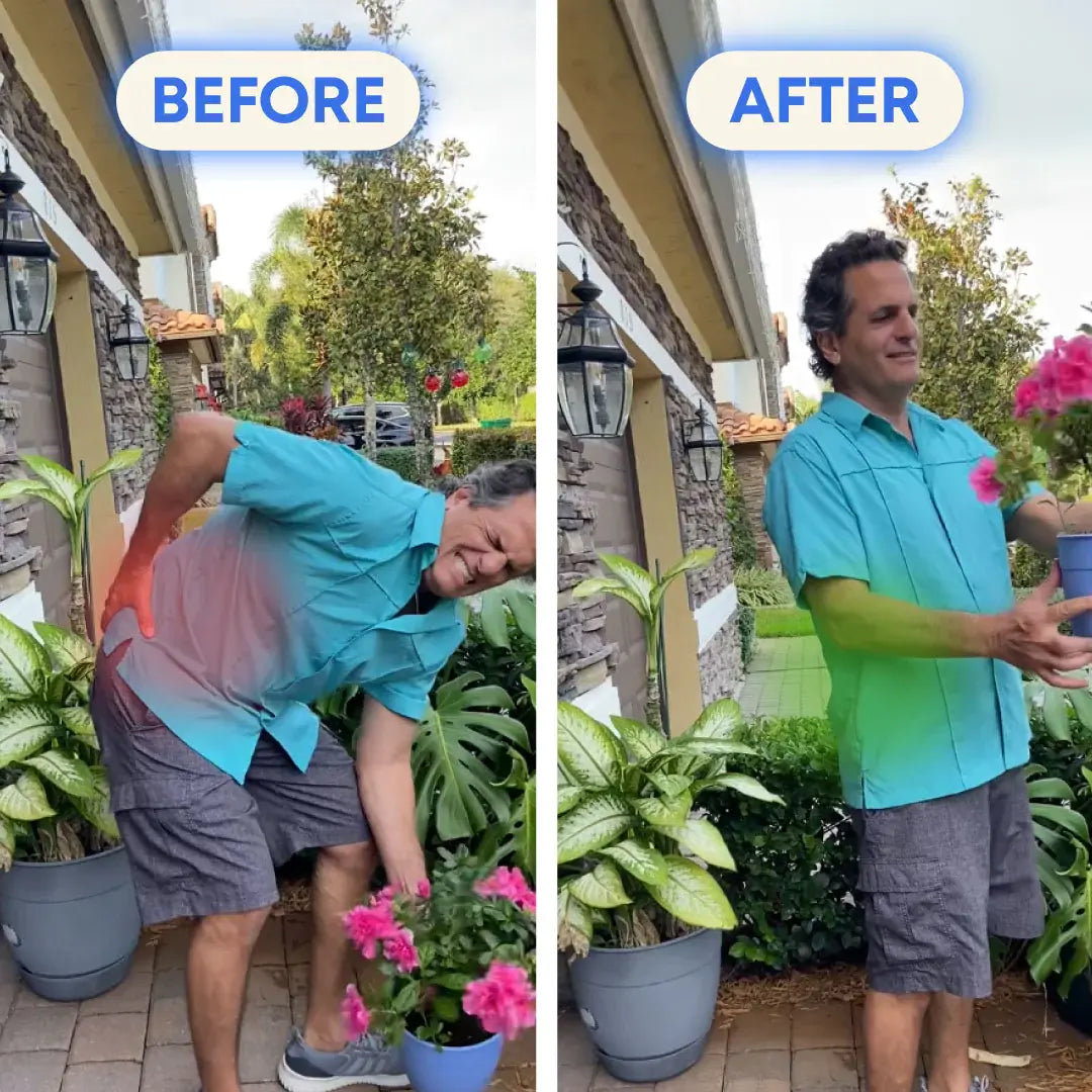 6 Pack Offer | 3000MG