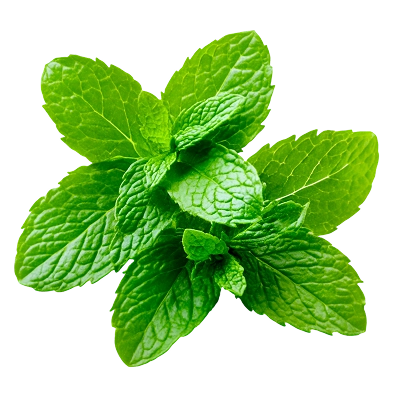 Ingridients_1.webp__PID:97f57e78-0e98-4dc9-a125-1048ac88498e
